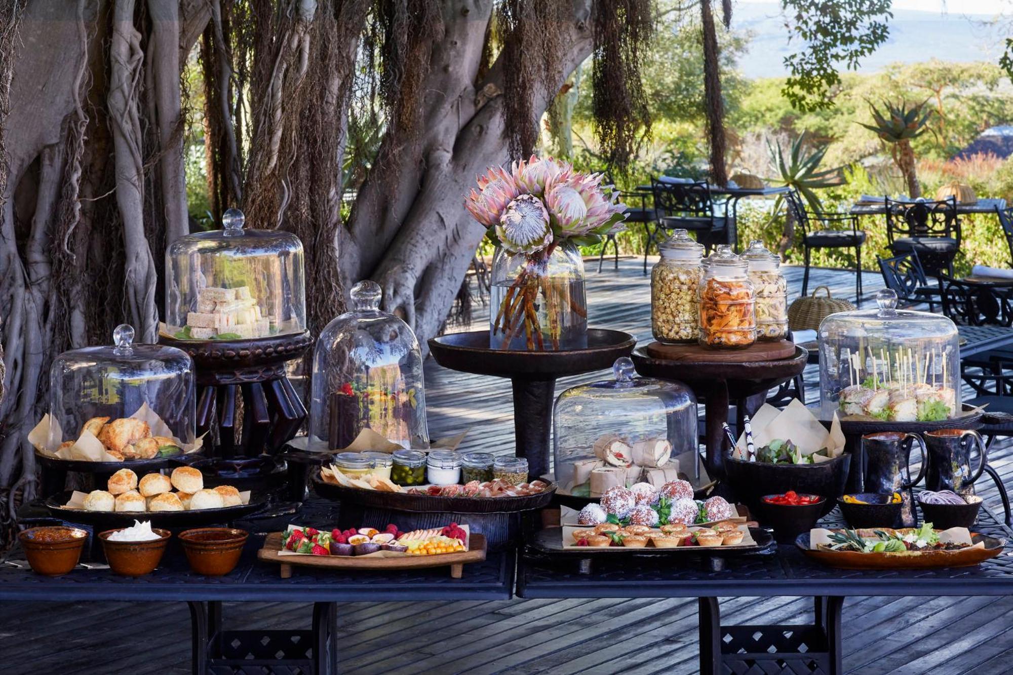 Bushmans Kloof Wilderness Reserve And Wellness Retreat Clanwilliam Esterno foto